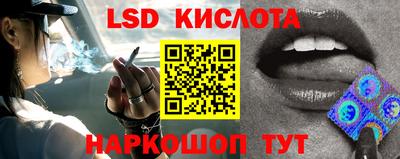 амф Кингисепп
