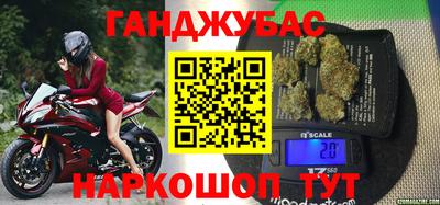 амф Кингисепп