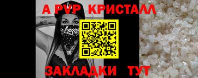 амф Кингисепп