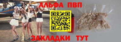 амф Кингисепп