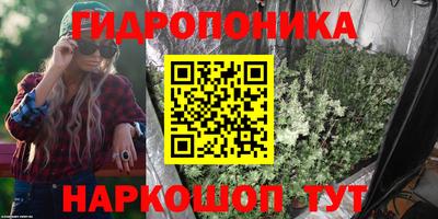 шишки Кинель