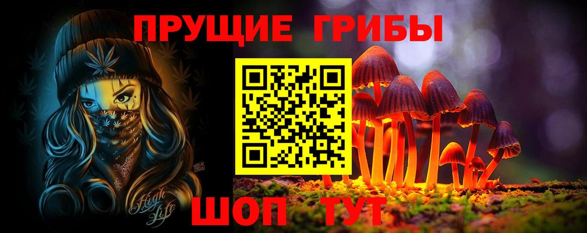 Псилоцибиновые грибы мицелий Южноуральск